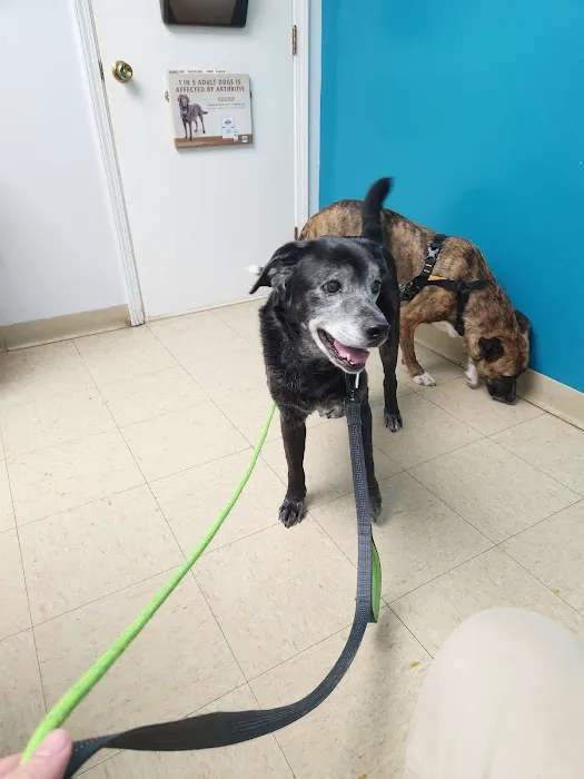 Harrodsburg Animal Hospital 12