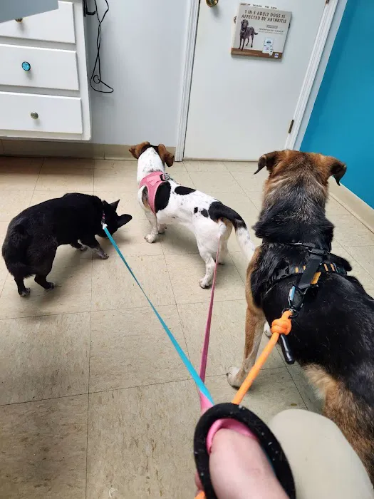 Harrodsburg Animal Hospital 12
