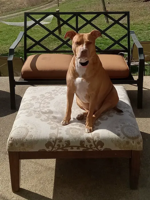 Harrodsburg Animal Hospital 12