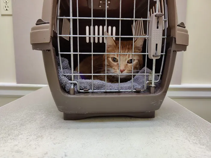 Nash, Cleveland, & Godfrey Veterinary Clinic 5