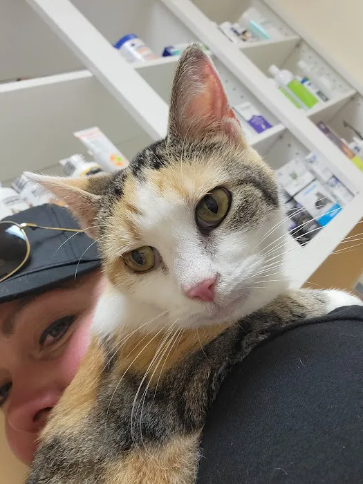 Town & Country Animal Clinic 3