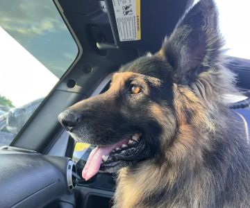 Town & Country Animal Clinic