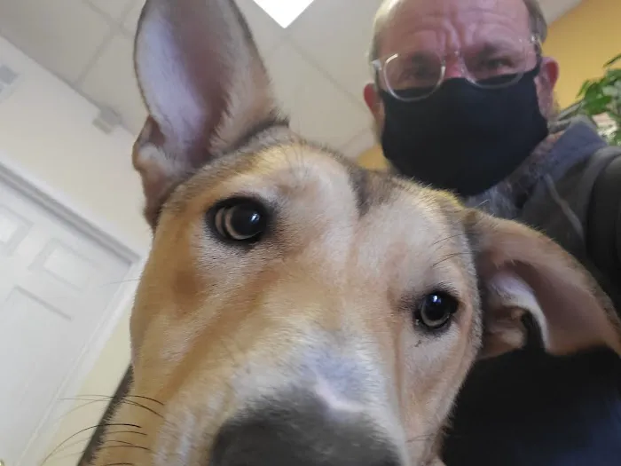 Town & Country Animal Clinic 9