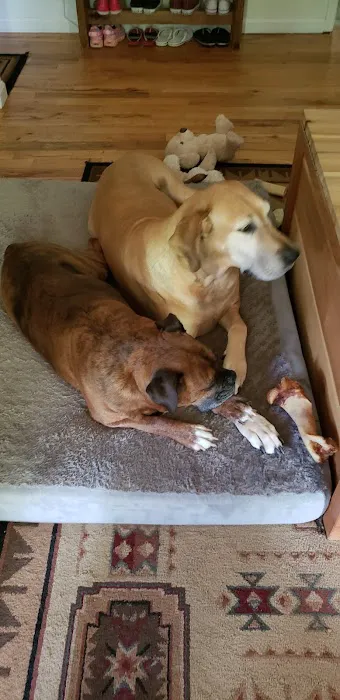 Danville Animal Clinic 12