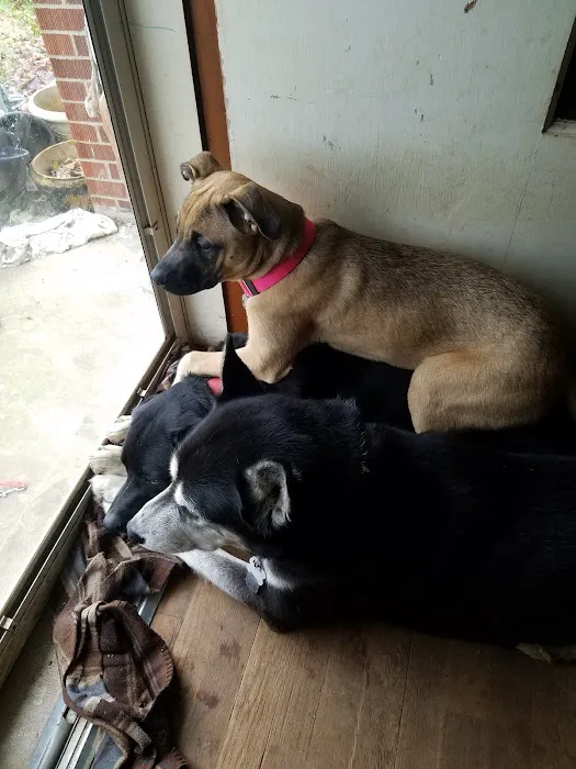 Danville Animal Clinic 12