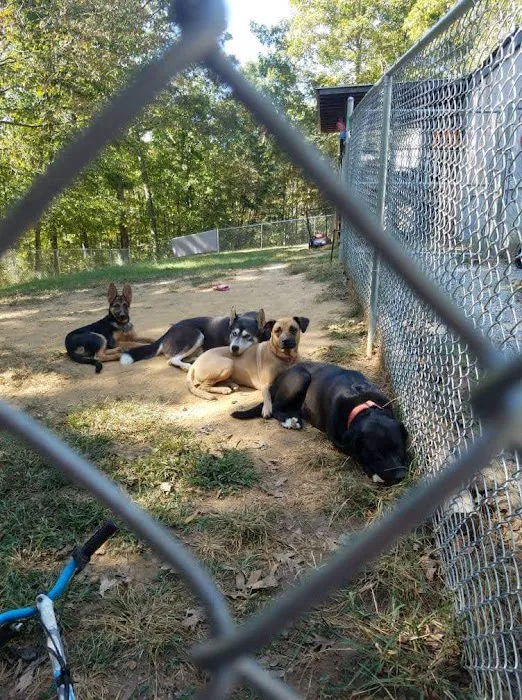 Danville Animal Clinic 12