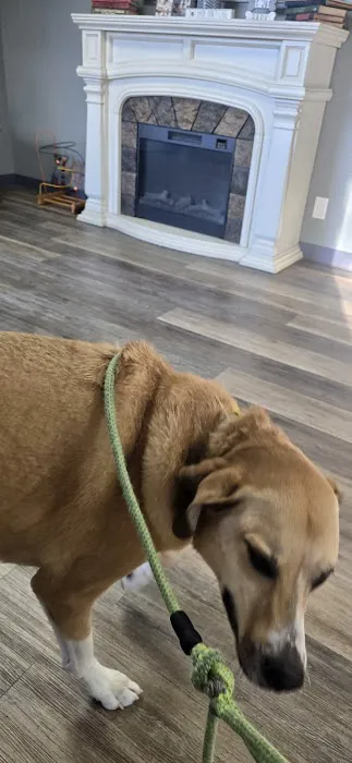 Heartland Veterinary Hospital 2