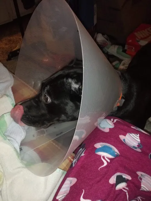 Happy Paws Spay/Neuter Clinic 12