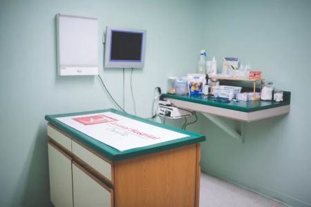Animal Hospital of Danville