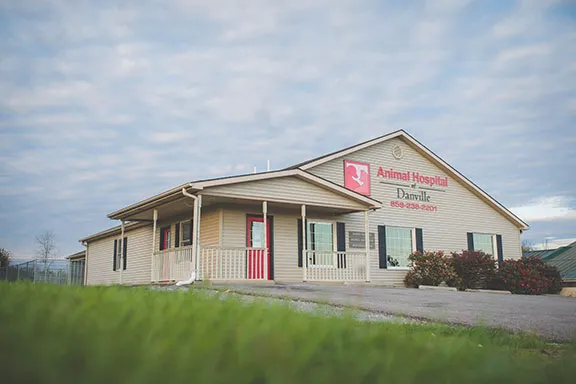 Animal Hospital of Danville 4