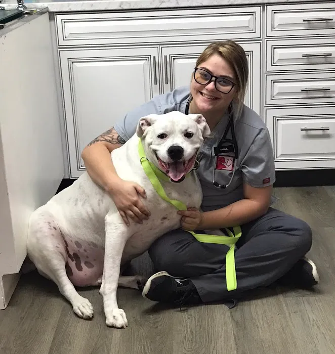 Animal Hospital of Danville 10