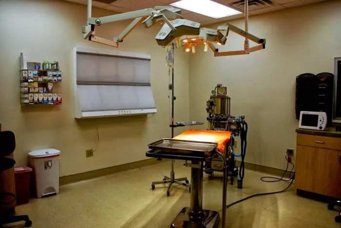 McCaw Veterinary Associates 7