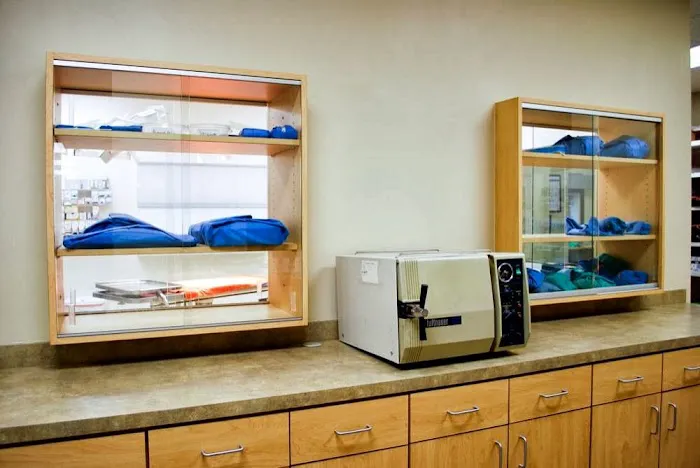 McCaw Veterinary Associates 3