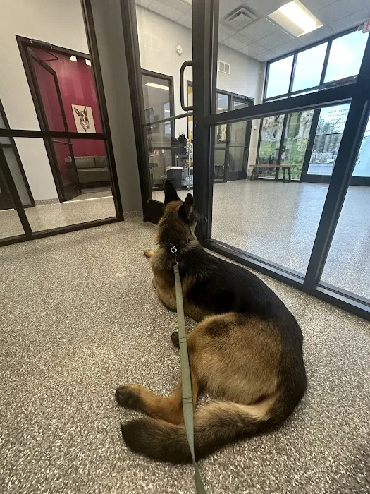 PetVet365 Pet Hospital & Dental Center Lexington/Brannon Crossing 12