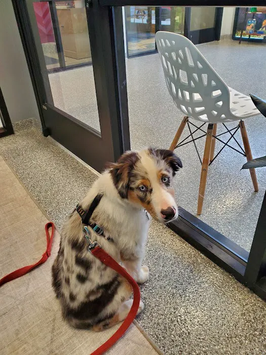 PetVet365 Pet Hospital & Dental Center Lexington/Brannon Crossing 12