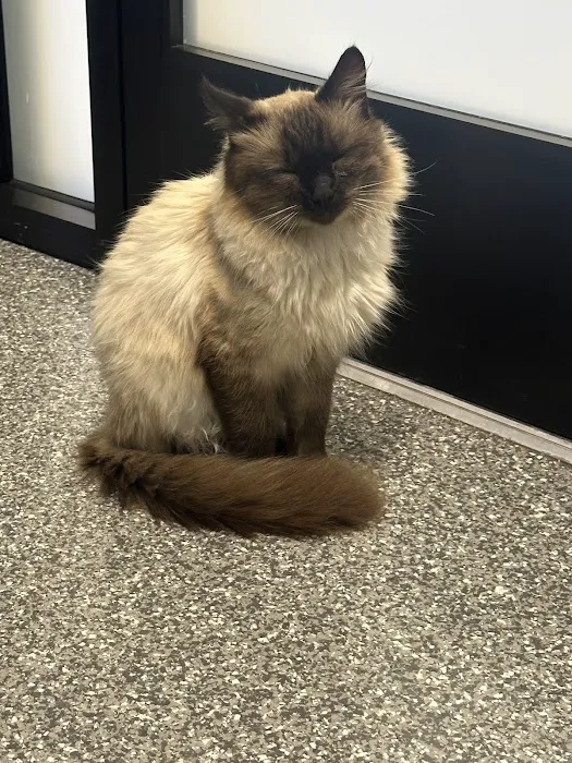 PetVet365 Pet Hospital & Dental Center Lexington/Brannon Crossing 12