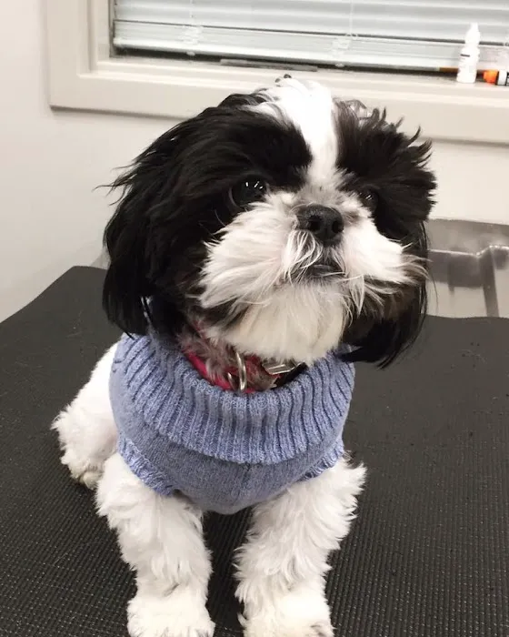 Tates Creek Animal Hospital 2