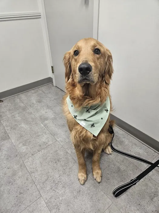 Tates Creek Animal Hospital 8