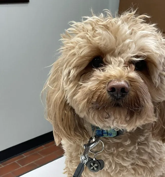 Fayette Veterinary Clinic 3