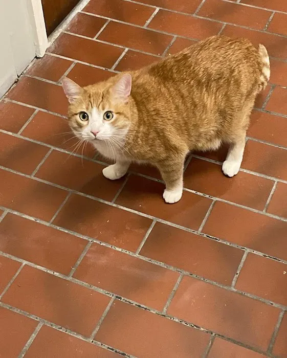 Fayette Veterinary Clinic 8
