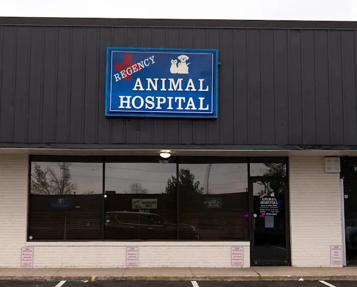 Regency Animal Hospital 12