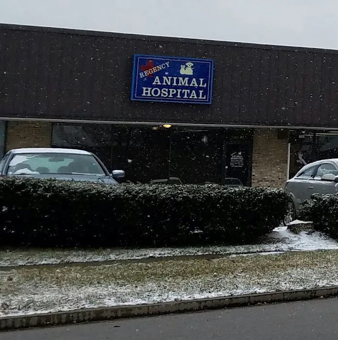Regency Animal Hospital 12
