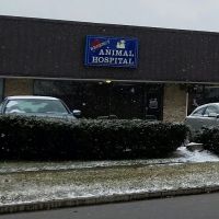 Regency Animal Hospital ico