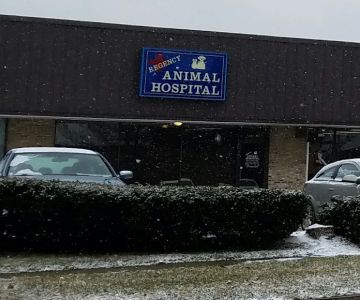 Regency Animal Hospital