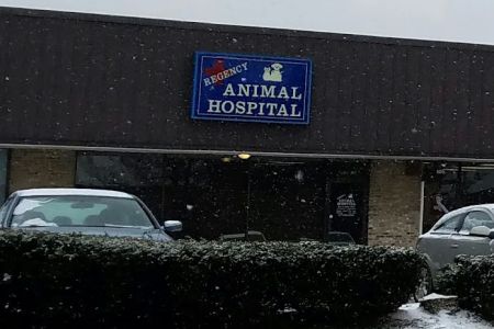 Regency Animal Hospital