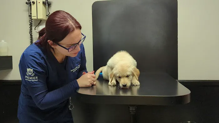Gainesway Small Animal Clinic 1