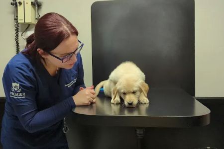 Gainesway Small Animal Clinic