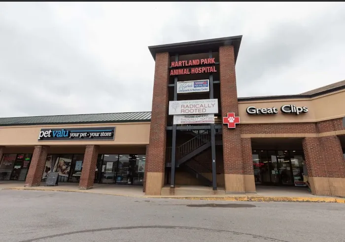 Hartland Park Animal Hospital 12