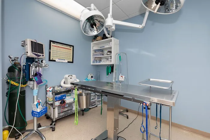 Hartland Park Animal Hospital 12