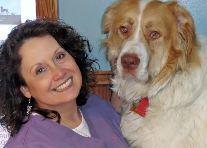 Companion Animal Hospital Inc. 3
