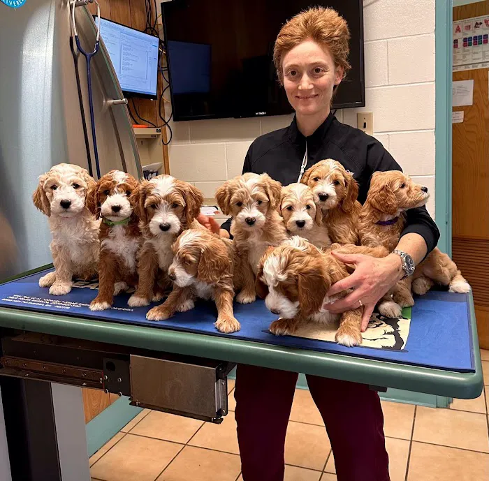 Tharp Animal Health Care Center 5