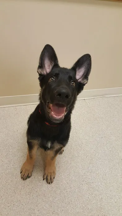 East Side Animal Hospital pc 8