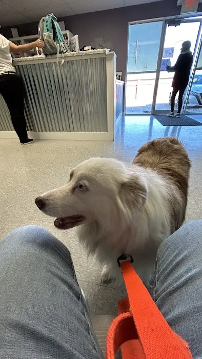 Astro Just Animals Vaccine Clinic 8