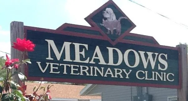 Meadows Veterinary Clinic 8