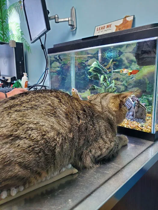 Lakeview Veterinary Clinic 10