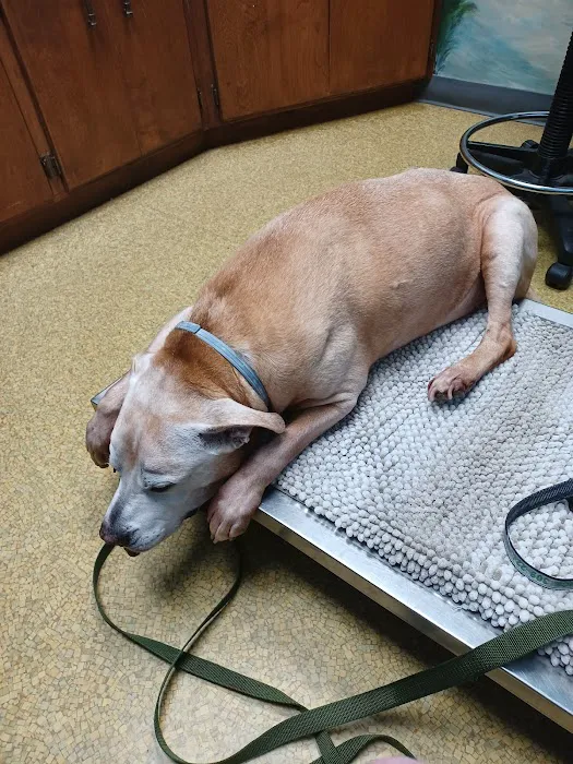 Lakeview Veterinary Clinic 8