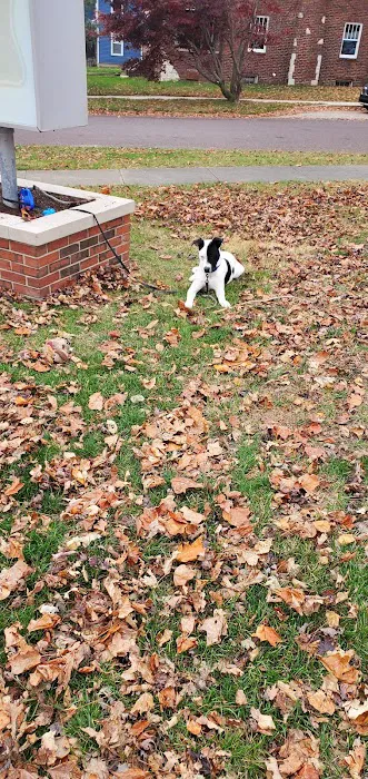 Tremont Veterinary Clinic 3