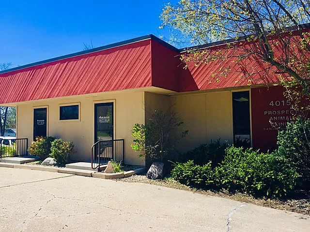 Prospect Animal Clinic 6