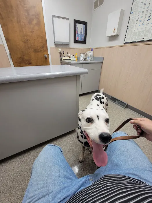 Prospect Animal Clinic 5