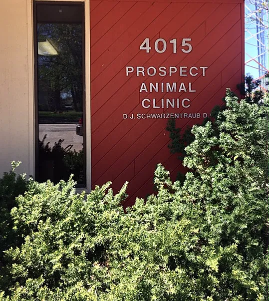 Prospect Animal Clinic 4