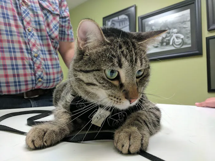 Demanes Animal Hospital 7