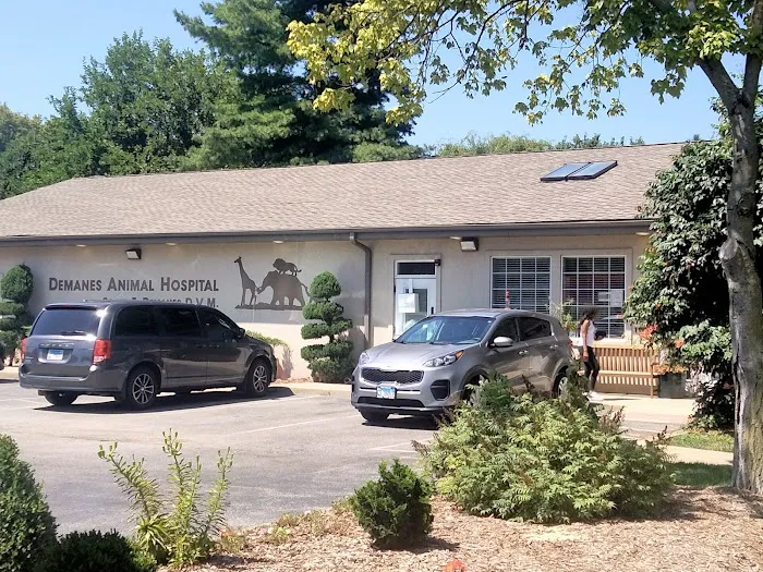 Demanes Animal Hospital 8