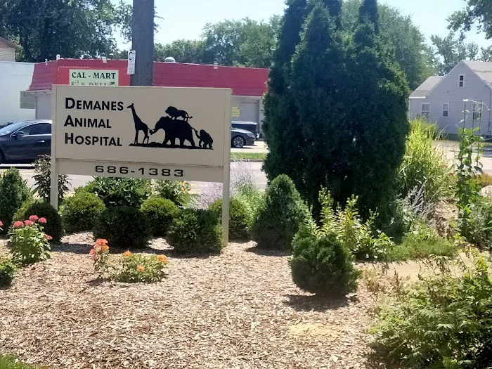 Demanes Animal Hospital 5