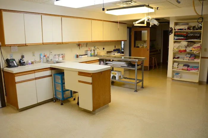 All Pets Veterinary Hospital 2