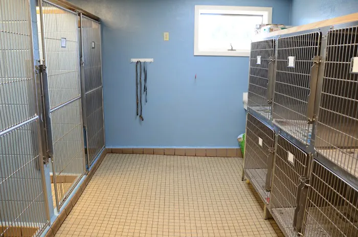 All Pets Veterinary Hospital 4