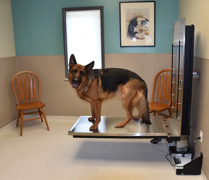 Whitney Veterinary Hospital 9